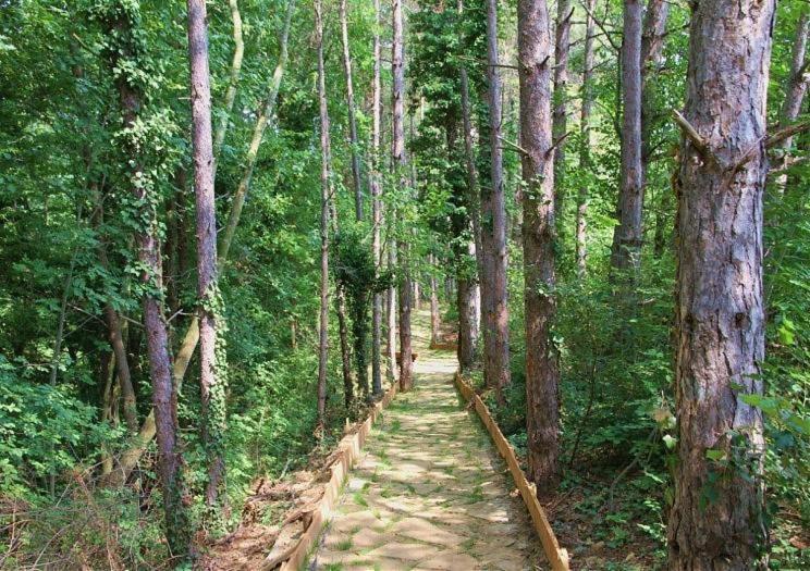 Аппартамент Pines Beach Resort Bjała Zewnętrze zdjęcie