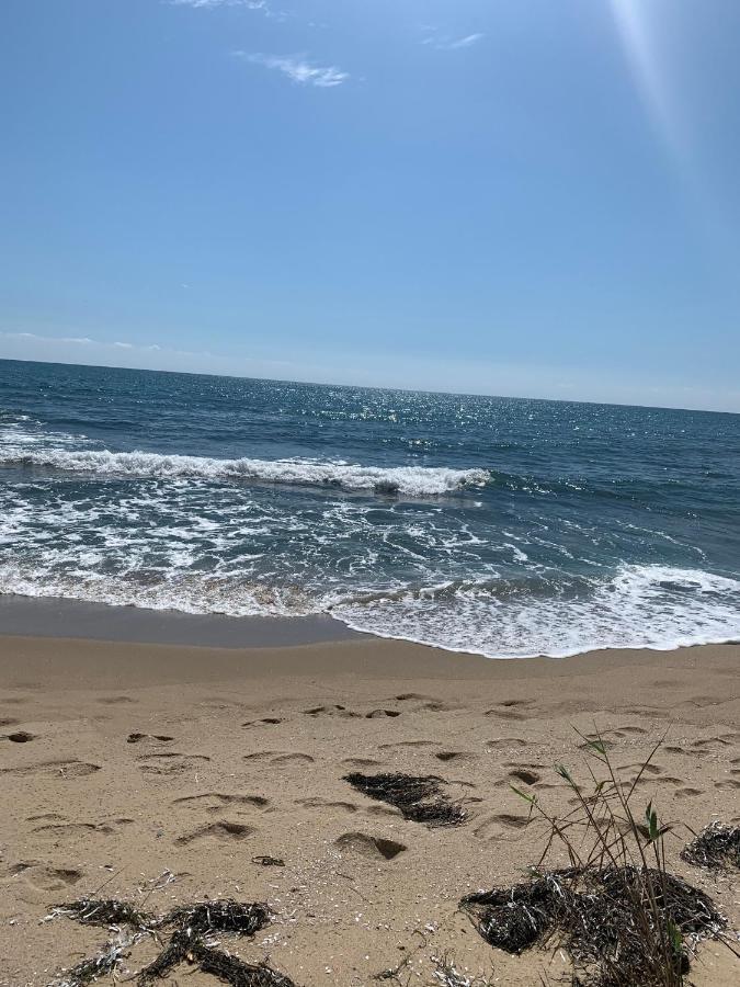 Аппартамент Pines Beach Resort Bjała Zewnętrze zdjęcie